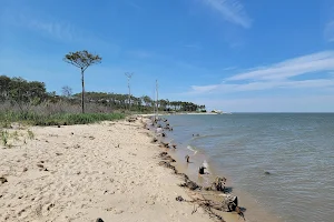 Bethel Beach Natural Area Preserve image