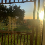 Photo n°3 de l'avis de Lucas.e fait le 22/04/2022 à 13:57 sur le  Sobreiras - Alentejo Country Hotel à Grândola