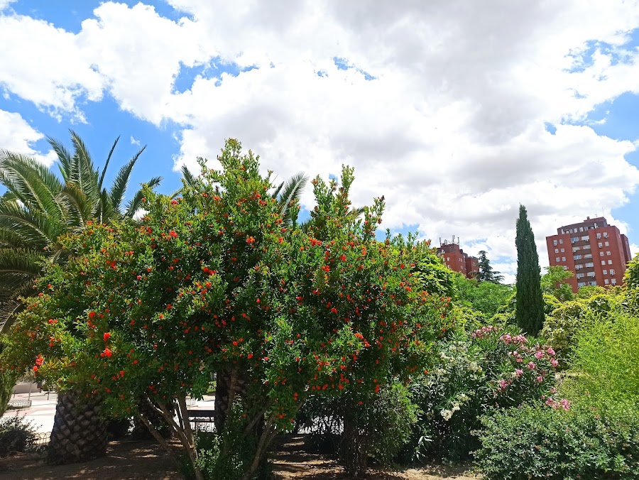 Parque de la Fuente