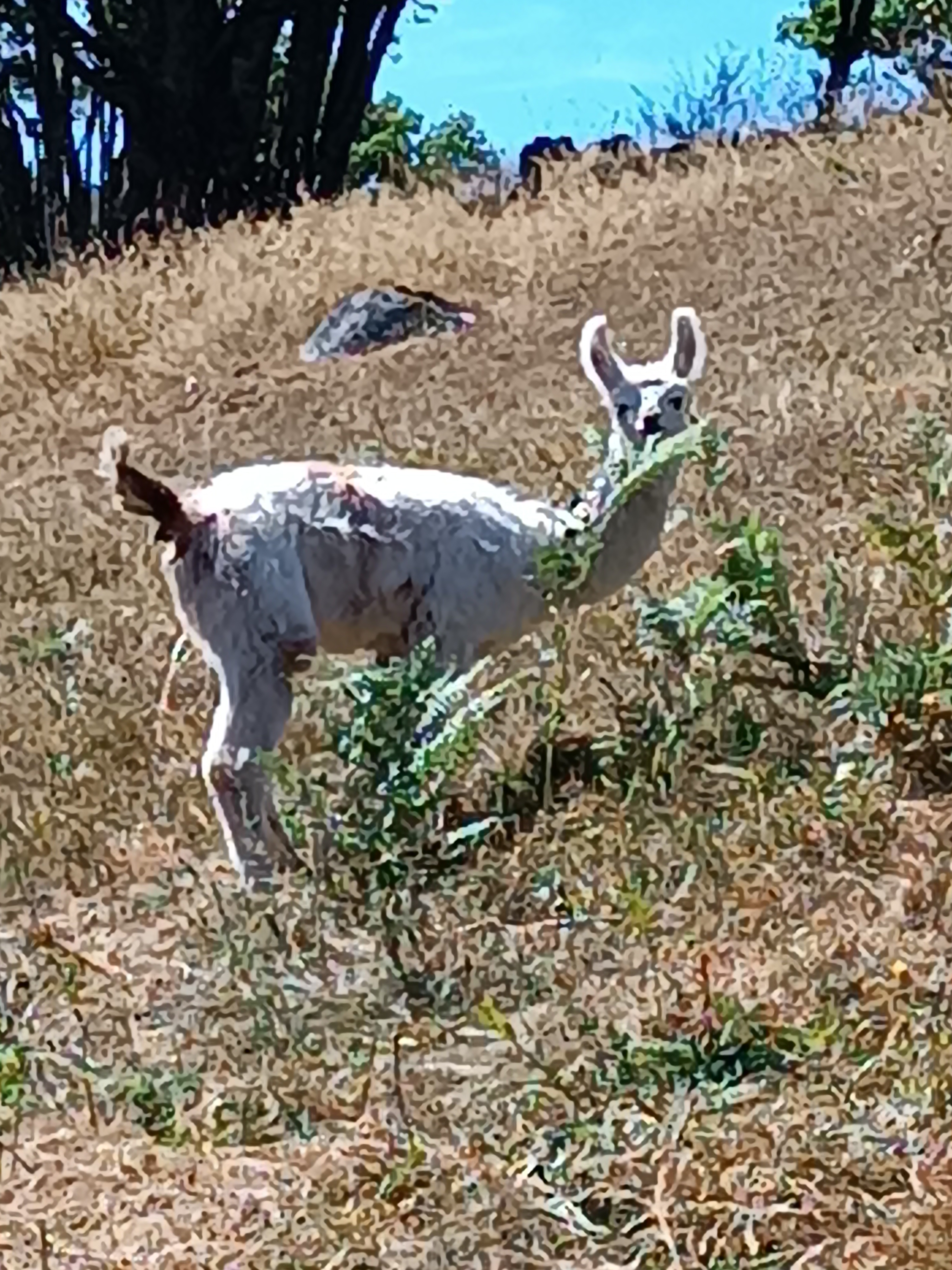 Photo n° 2 de l'avis de Luc.c fait le 09/08/2022 à 17:57