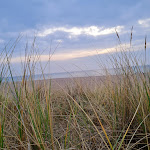 Photo n°4 de l'avis de Yvonne. fait le 11/05/2022 à 17:50 sur le  Strandbistro Lobster à Kappeln