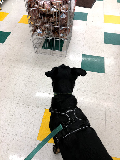 Pet Supply Store «Pet Supplies Plus», reviews and photos, 2821 W Kirby Ave, Champaign, IL 61821, USA