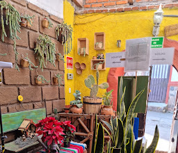 Potzolcano Contreras photo