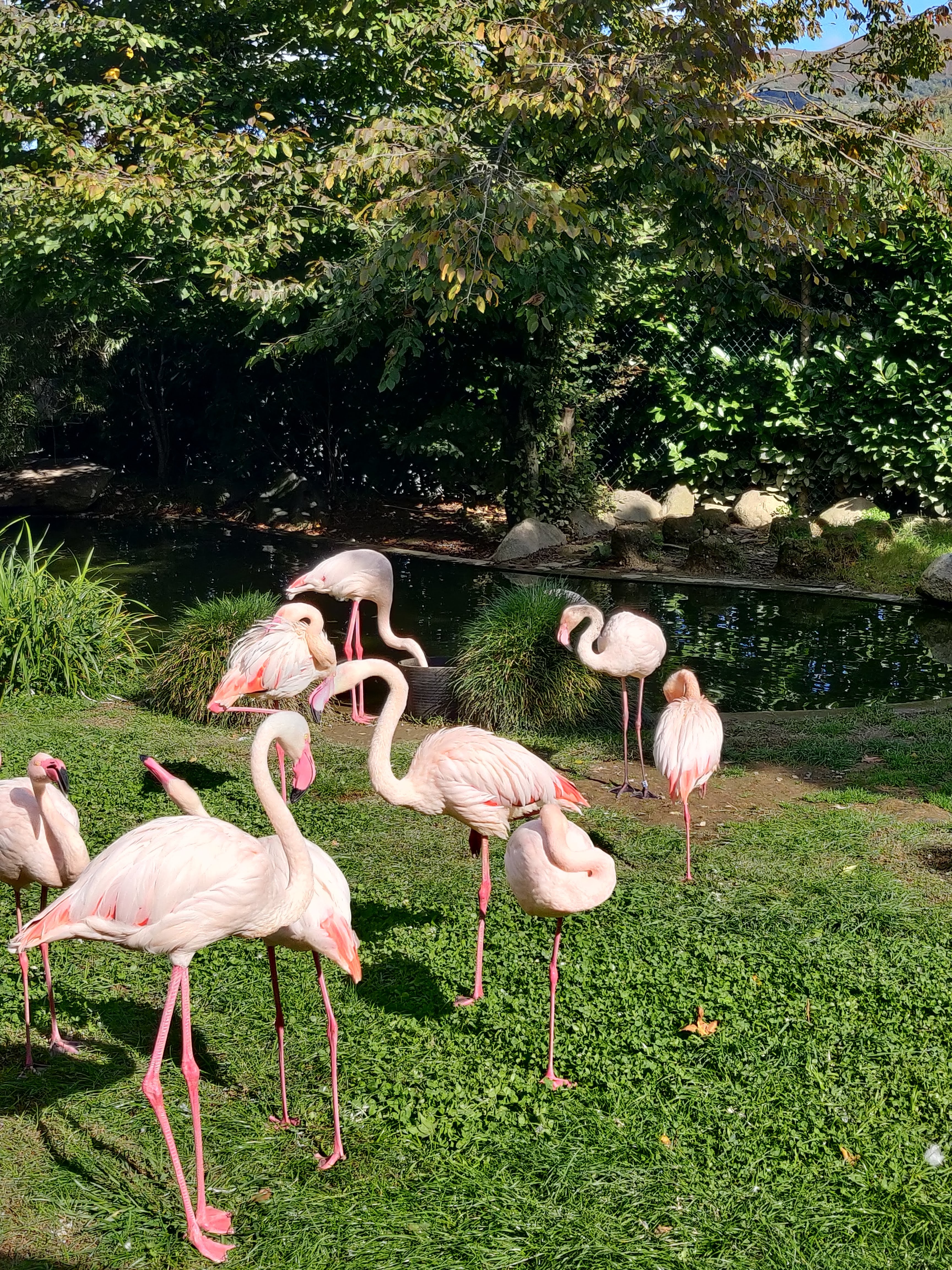 Photo n° 10 de l'avis de Kelly.e fait le 06/10/2020 à 20:25