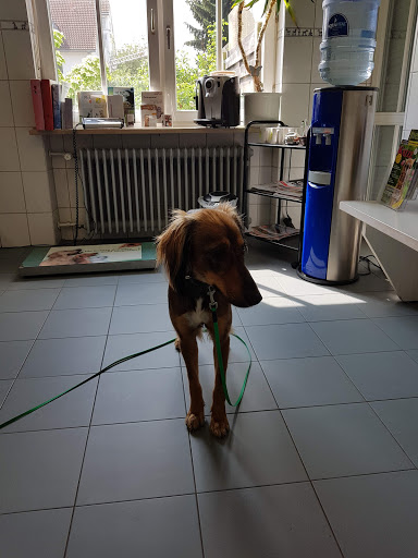 Veterinary practice Thumm und Götzke unter Munich, Bayern