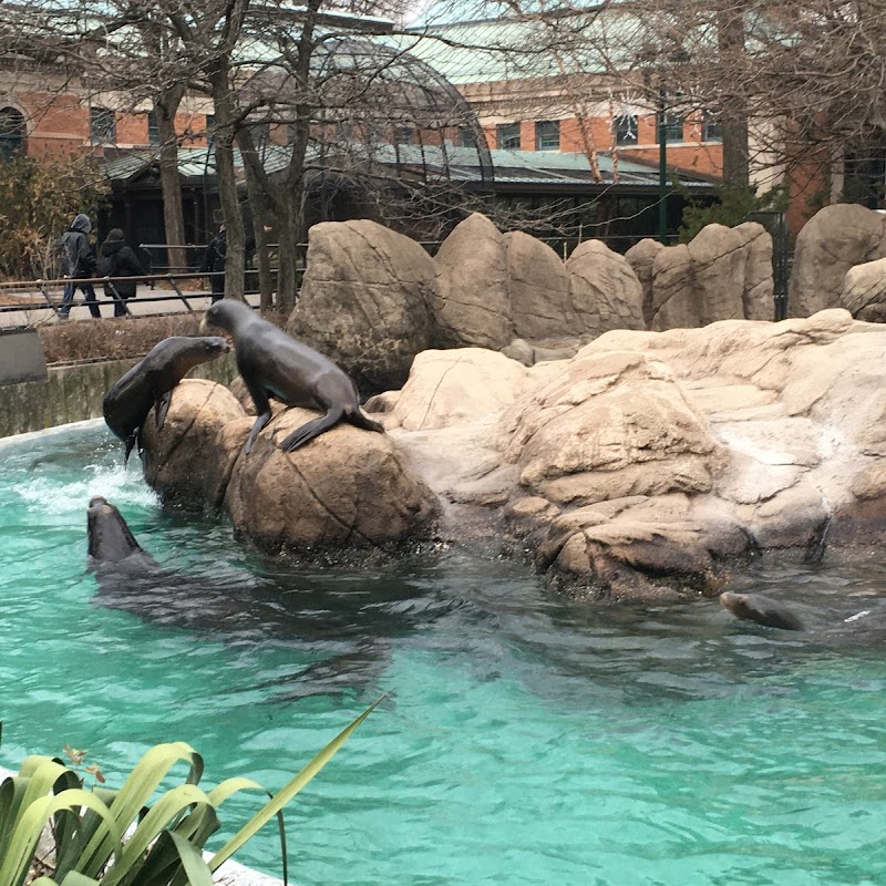 Rockefeller Fountain