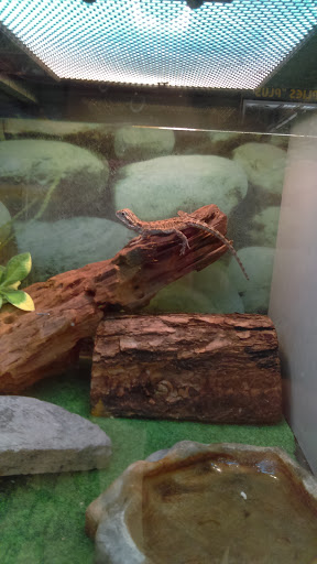 Pet Supply Store «Pet Supplies Plus», reviews and photos, 311 Sagamore Pkwy N, Lafayette, IN 47904, USA