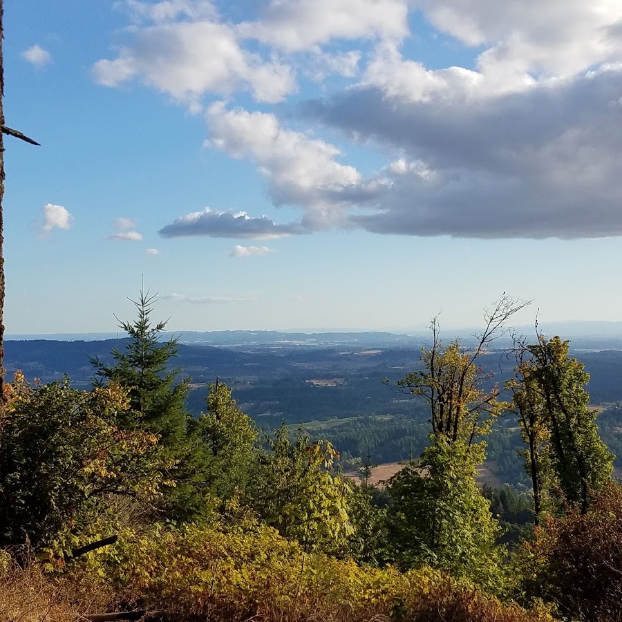 Bald Peak State Scenic Viewpoint