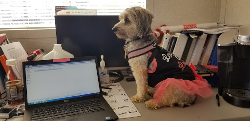 Explore haunted house tattoo ideas, creative tattoo ideas in Westfield, available at American Dream Tattoo