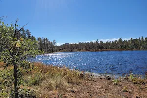 Woodland Lake Park Picnic Site image