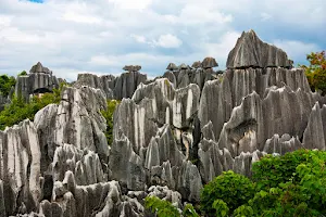 Stone Forest Scenic Area image