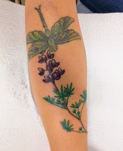 Tattoo Shop «Accent Tattoo & Body Piercing», reviews and photos, 207 S State St, Ukiah, CA 95482, USA