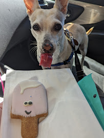 Pet Food Express - Photo 8 - Car repair in Martinez, CA, Concord