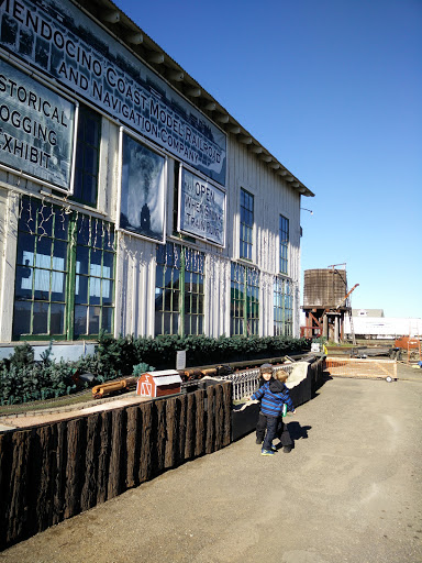 Toy Store «Spunky Skunk», reviews and photos, 344 N Franklin St, Fort Bragg, CA 95437, USA