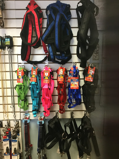 Pet Supply Store «Bully Zone Pet Supplies & Pet Grooming», reviews and photos, 1409 McCarter Hwy, Newark, NJ 07104, USA