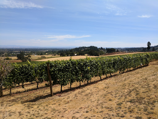 Winery «Redhawk Vineyard & Winery», reviews and photos, 2995 Michigan City Ln NW, Salem, OR 97304, USA