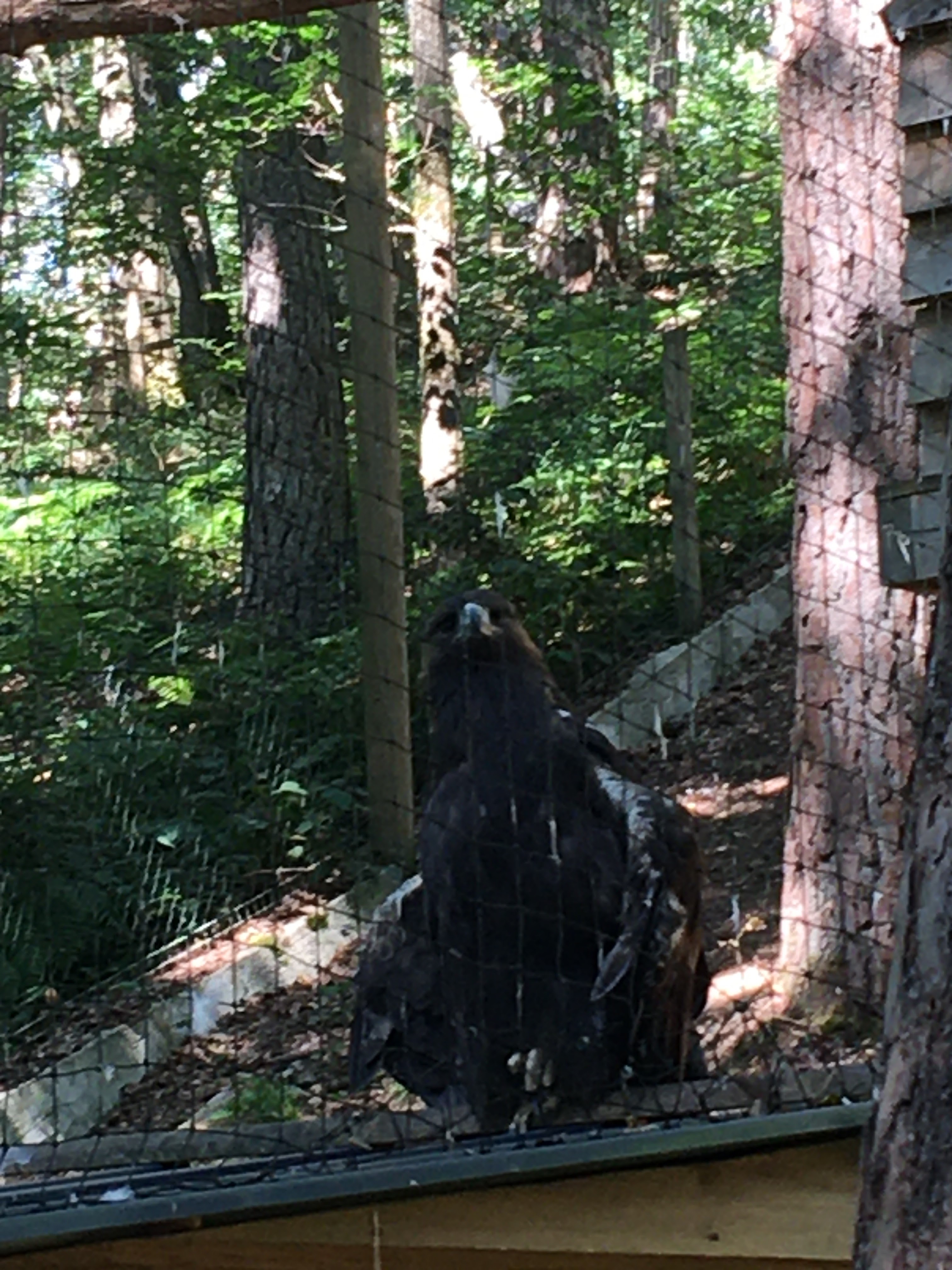 Photo n° 13 de l'avis de Kad.o fait le 12/07/2020 à 13:08