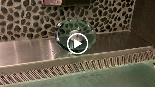 Concert Hall «Full Sail Live», reviews and photos, 141 University Park Dr, Winter Park, FL 32792, USA