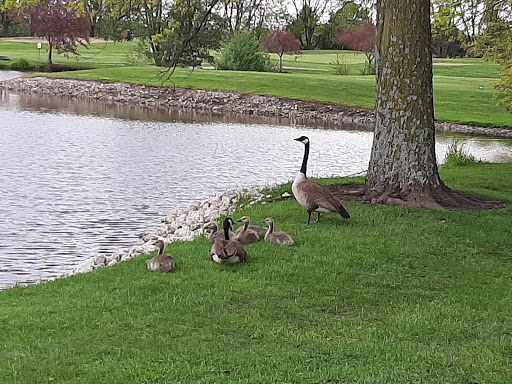 Golf Course «Pleasant Valley Golf Course», reviews and photos, 4390 Sand Rd SE, Iowa City, IA 52240, USA