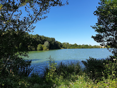Etang d'Anglade à Izon