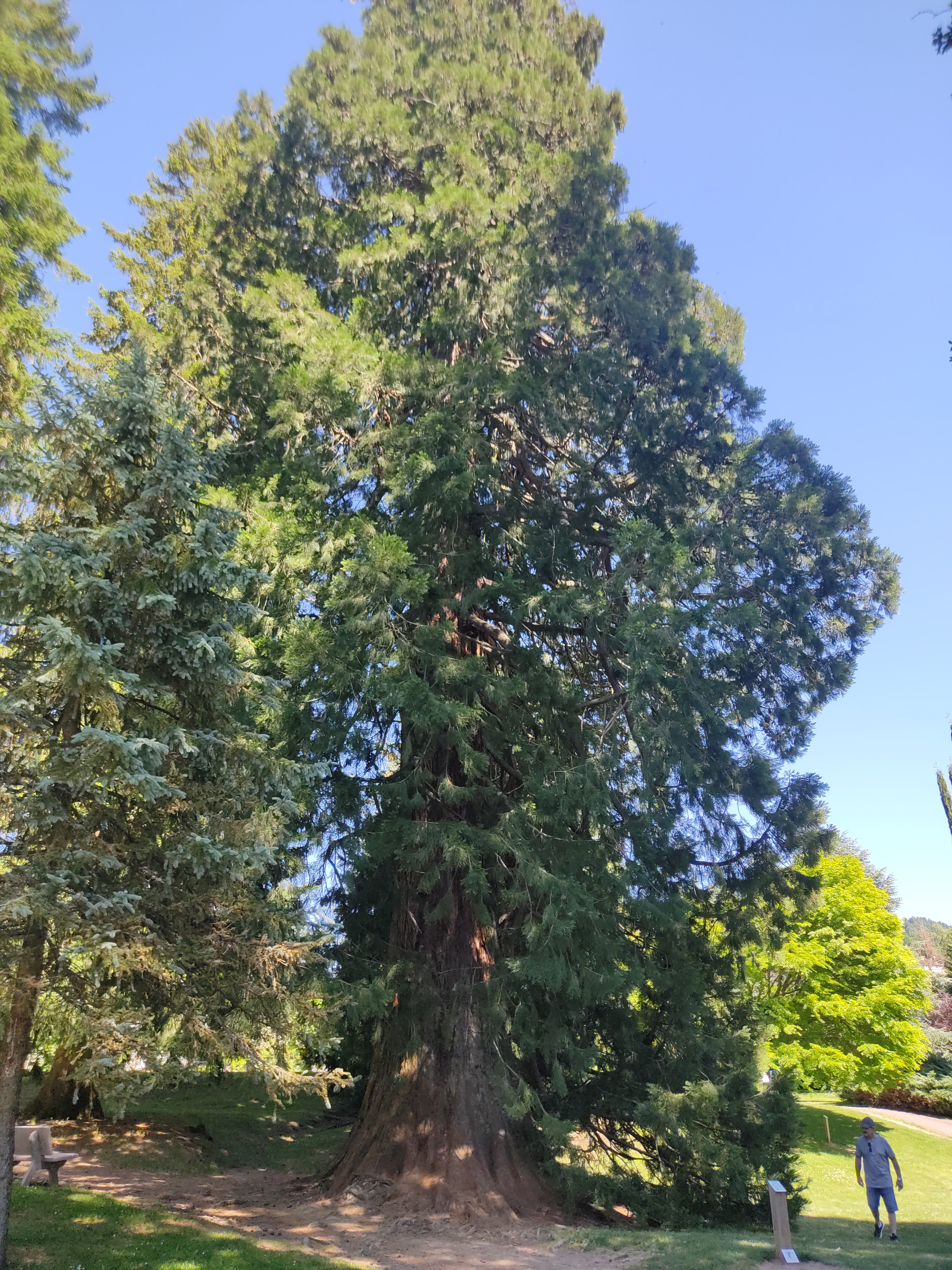 Photo n° 27 de l'avis de David.i fait le 29/05/2022 à 19:15