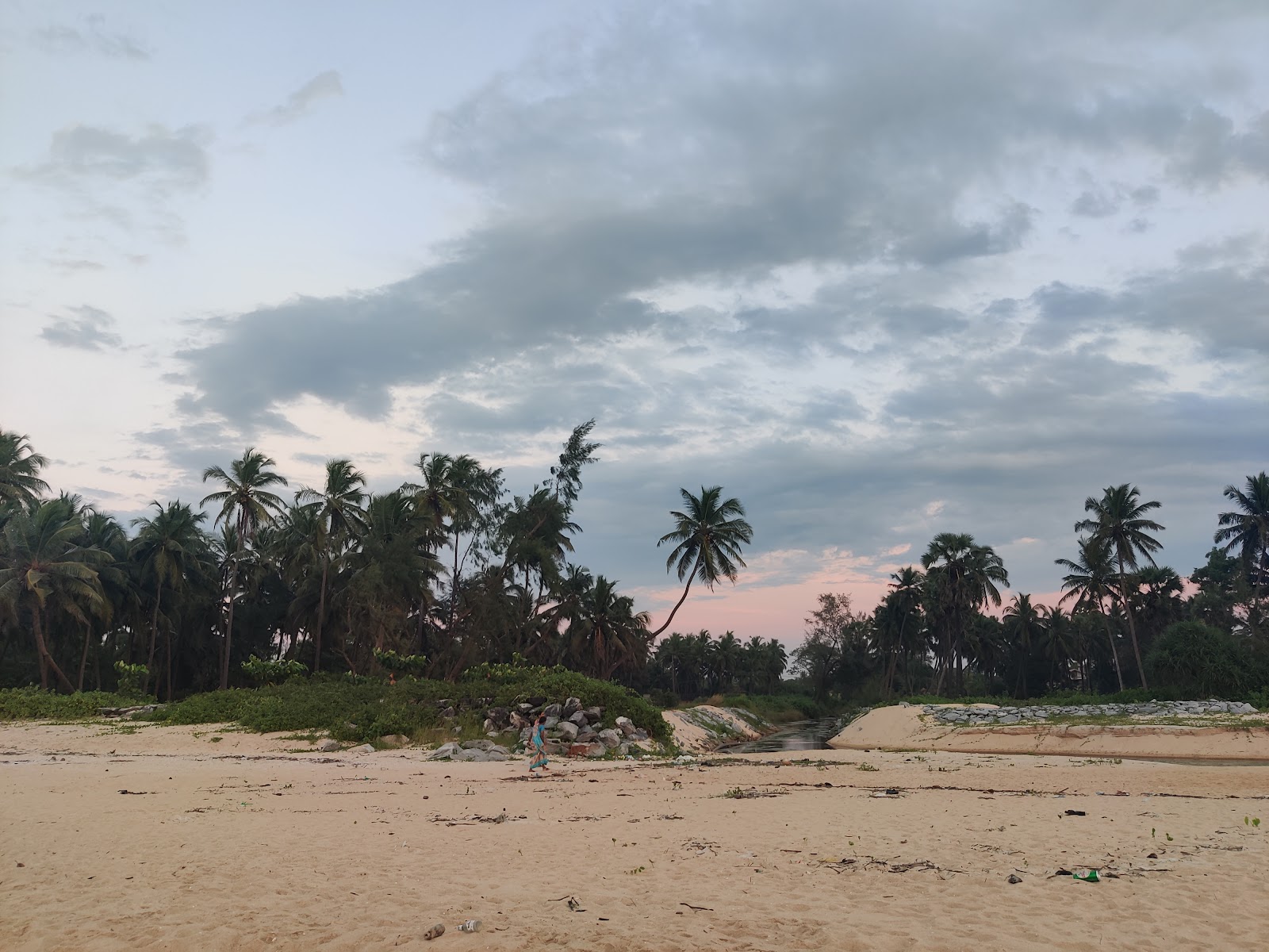 Koravadi Beach'in fotoğrafı vahşi alan