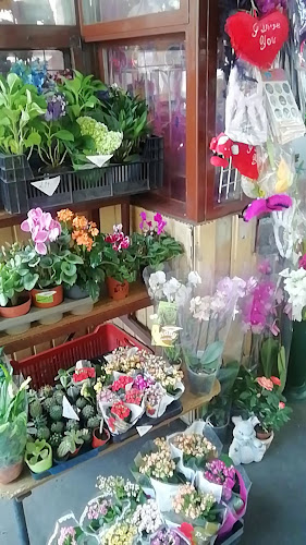 Értékelések erről a helyről: Gardénia Virág, Budapest - Virágárus