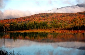 Annie Tiberio Cameron Photography - photo 4