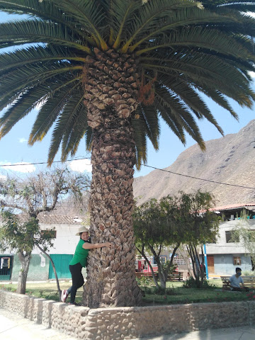 Explora Valle Sagrado - All Inclusive by null