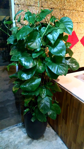 Top 20 cửa hàng homefood Huyện Tĩnh Gia Thanh Hóa 2022