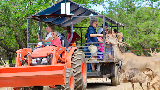 Zoo «The Exotic Resort Zoo», reviews and photos, 235 Zoo Trail, Johnson City, TX 78636, USA