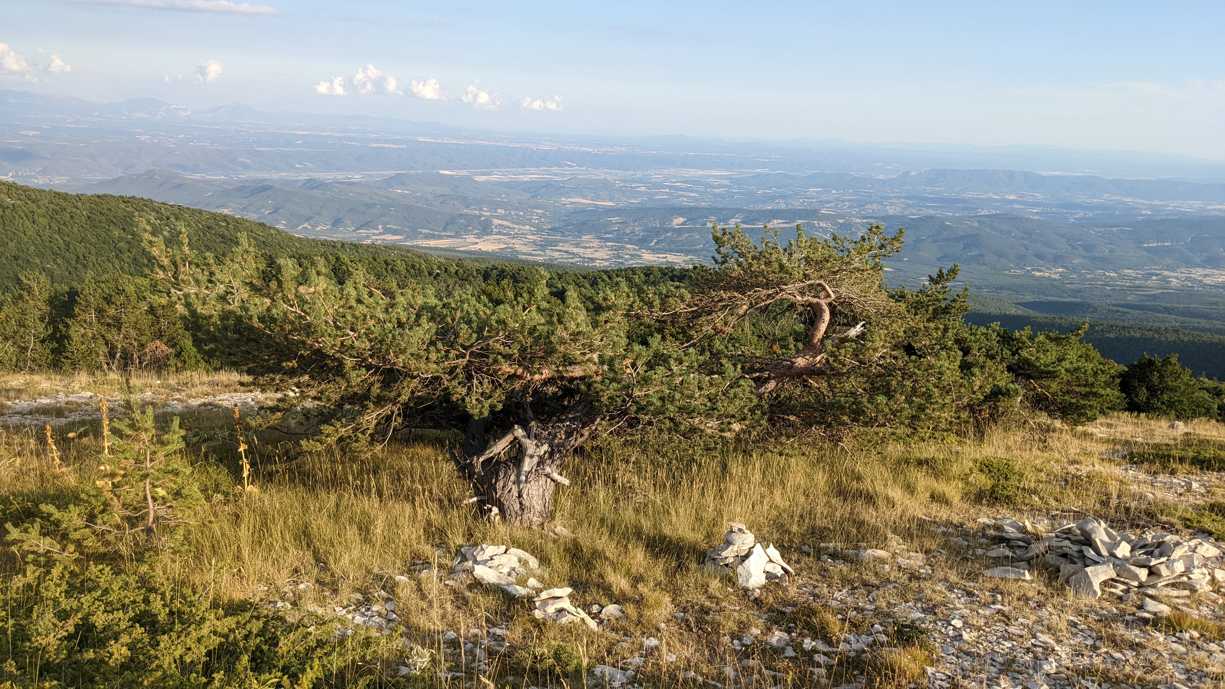 Photo n° 2 de l'avis de nidhin.h fait le 18/08/2022 à 16:45