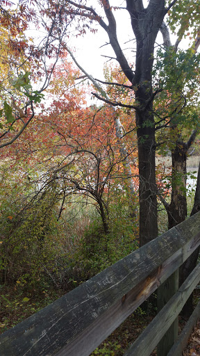 Park «Eastern Regional Park», reviews and photos, 11723 Eastern Ave, Middle River, MD 21220, USA