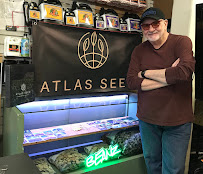 Gary's Indoor Garden Supply - Photo 7 - Car repair in Rome, NY, Utica