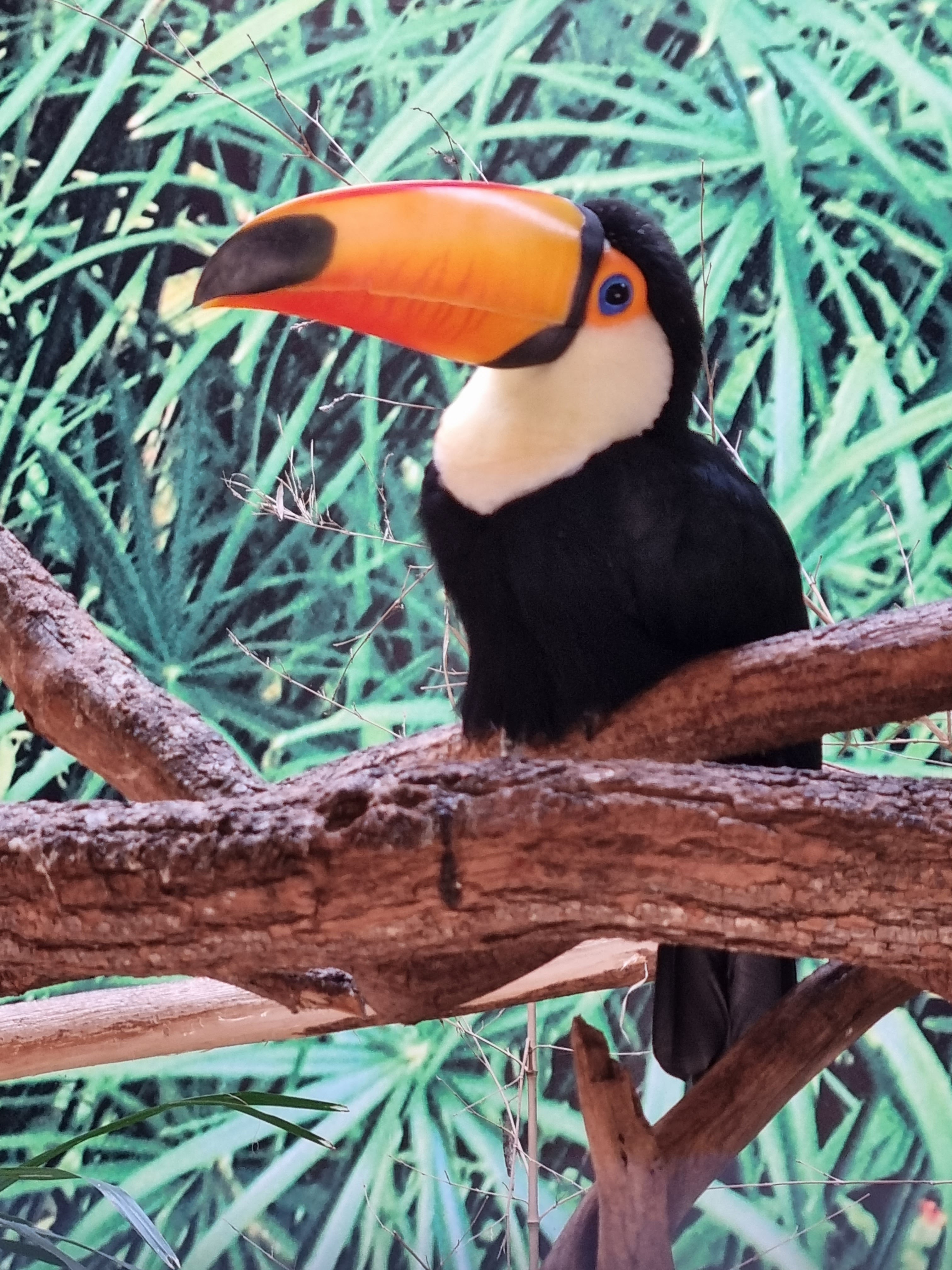 Photo n° 1 de l'avis de William.o fait le 06/08/2022 à 16:28