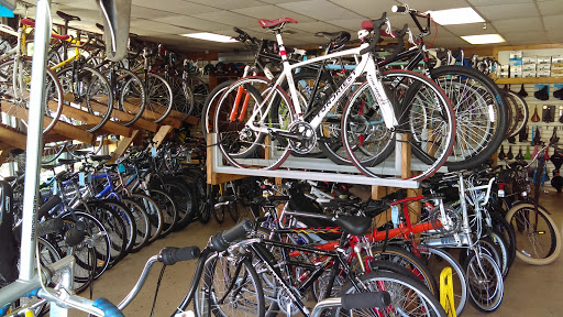 Bicycle Store «Bicycle Spot», reviews and photos, 5074 N Dixie Hwy, Oakland Park, FL 33334, USA