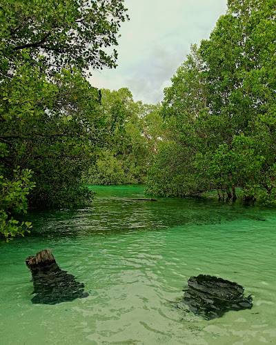 Suaka Margasatwa Pulau Semama