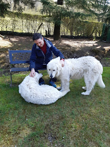 pensione per cani LA CASETTA Via per Gaggino, 39, 22070 Albiolo CO, Italia