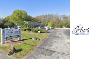 Anclote Animal Hospital image