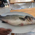 Photo n°1 de l'avis de Jeroen.o fait le 27/09/2021 à 17:48 sur le  Marea à Cascais