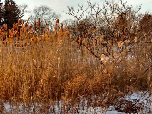 Park «Branford Point», reviews and photos, 4 Harbor St, Branford, CT 06405, USA