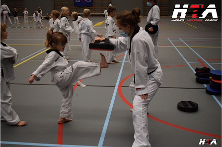 HTA Taekwondo Ham/Tessenderlo Sportlaan 10/A, 3945 Ham, Belgique