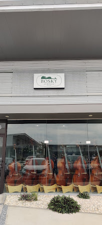 Bosky Strings - Photo 4 - Car repair in Edinburg, TX, McAllen
