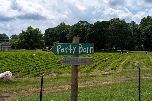 Farm «Warbington Farms (U-Pick Strawberries)», reviews and photos, 5555 Crow Rd, Cumming, GA 30041, USA