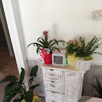 Photo n°13 de l'avis de Mary. fait le 13/08/2020 à 13:01 sur le  Ristorante da Michele à Villalago