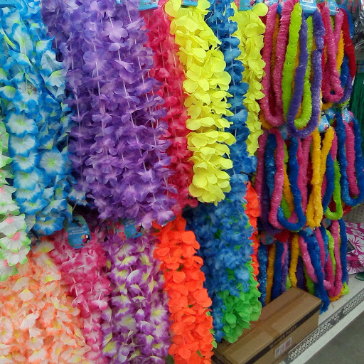 Dollar Store «Dollar Tree», reviews and photos, 1952 State Rd 44, New Smyrna Beach, FL 32168, USA