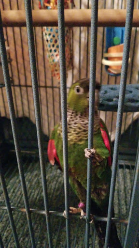 Pet Supply Store «Petco Animal Supplies», reviews and photos, 4600 Casey Blvd #100, Williamsburg, VA 23188, USA