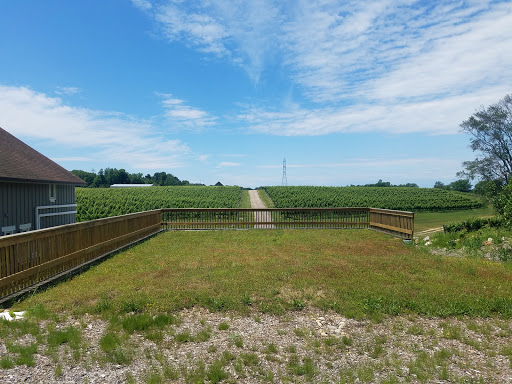Winery «Dablon Vineyards & Winery», reviews and photos, 111 W Shawnee Rd, Baroda, MI 49101, USA