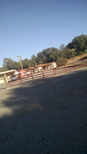 Tobacco Shop «Willow Glen Smoke Shop», reviews and photos, 31793 Hwy 41, Coarsegold, CA 93614, USA