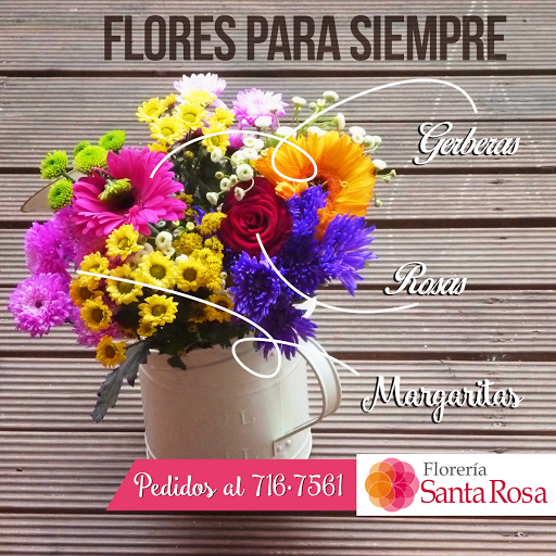 Florería Santa Rosa